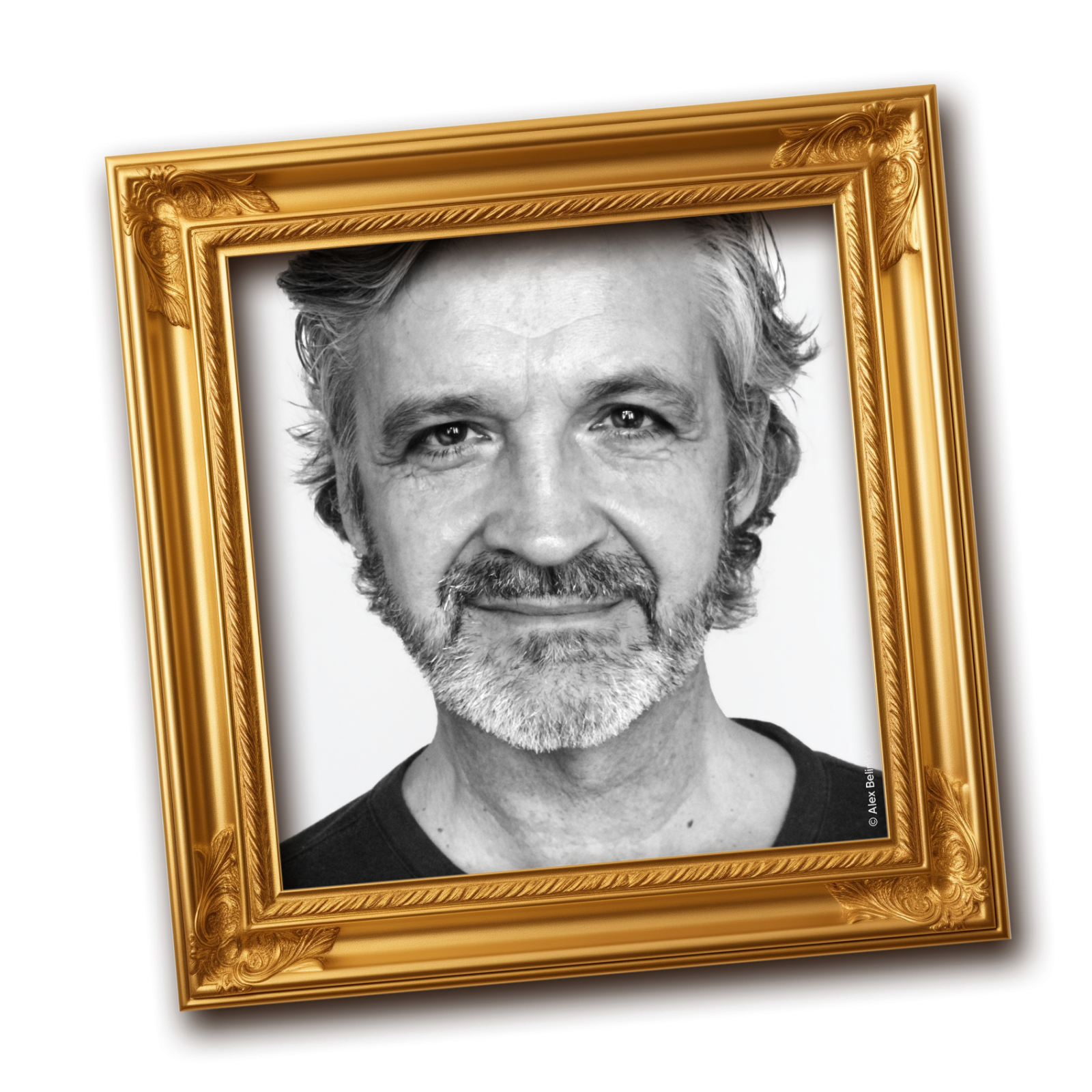 _wpframe_custom/gallery/files/wpf_sitemanager/t_eli25_iepk_castbilder_alexbelinkxpng_1733919106.png